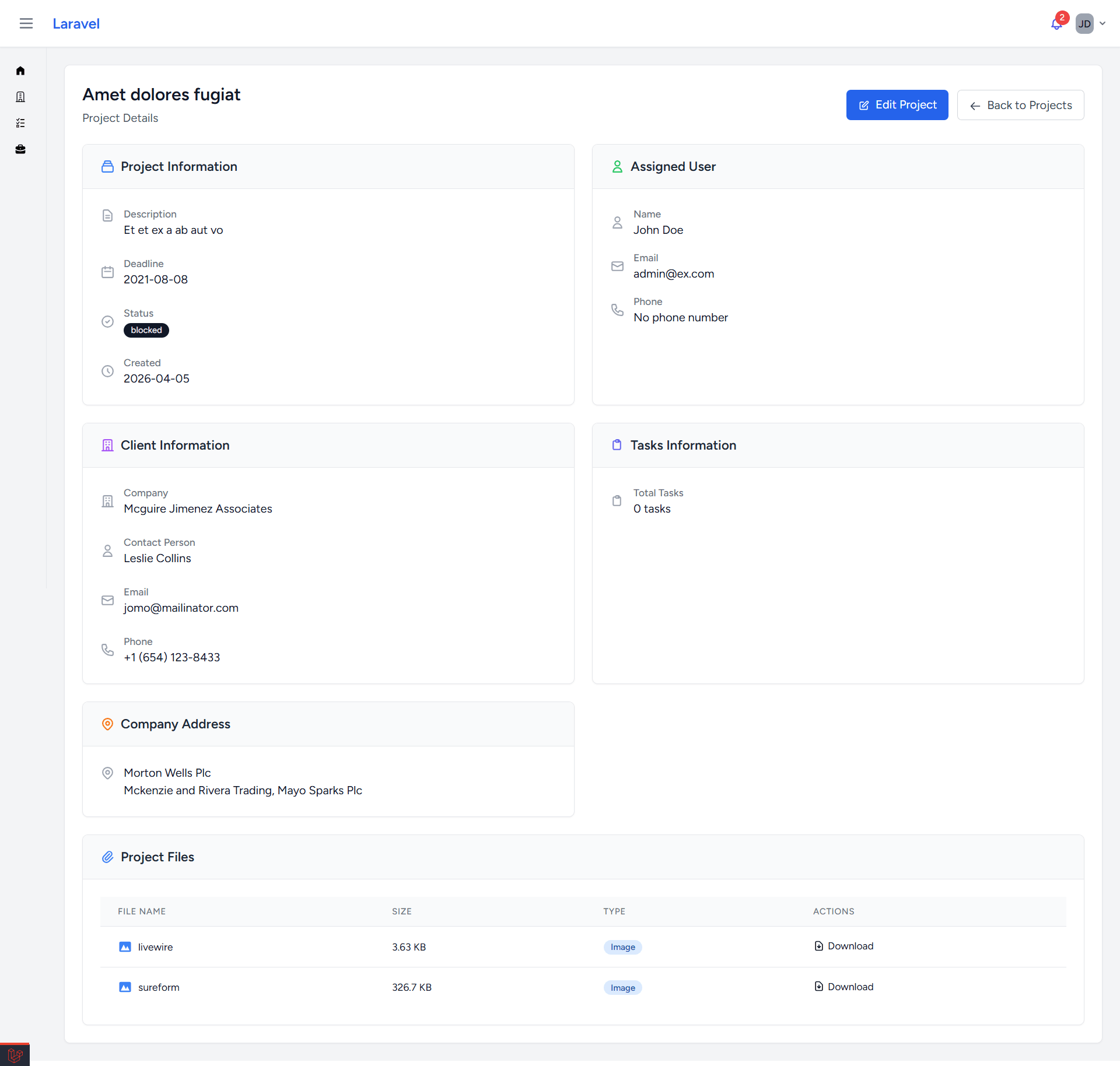In-depth project view consolidating assigned members, client details, and associated file attachments.