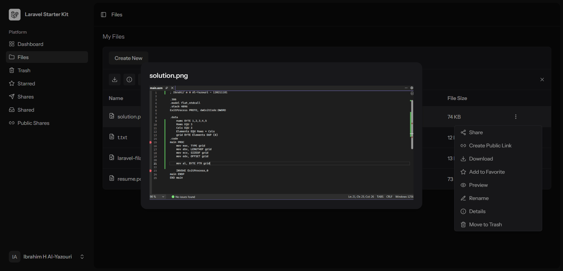 Built-in file previewer displaying high-resolution code and image content directly within the browser.